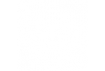 CANON IR C2730I TONER ORIG....